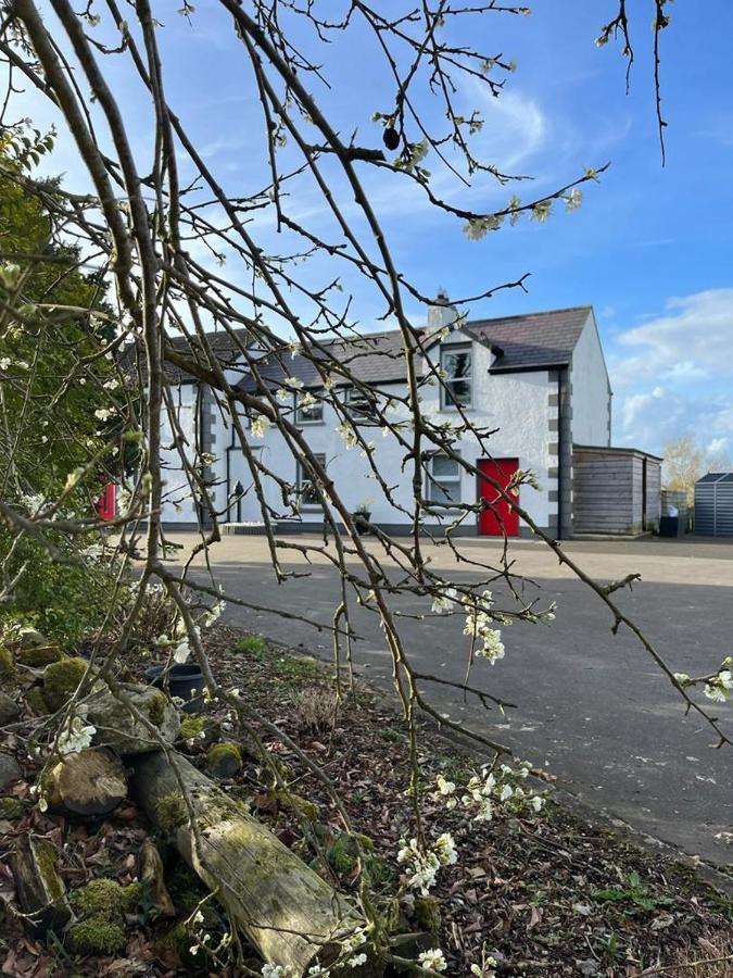 Willow House Bed & Breakfast And Orchard Studios Self Catering Limavady Exteriör bild